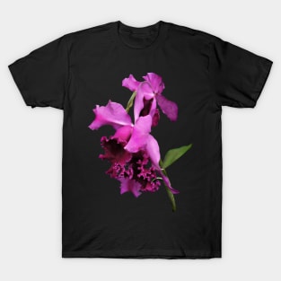 Orchid Harold Carls T-Shirt